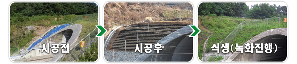 20250428172136_BK9Iz8an.jpg_carousel_식생토낭 그린티스_식생토낭 그린티스, 식생백, 식생토낭, 사면안정, 수해복구, 보강토 옹벽 시공