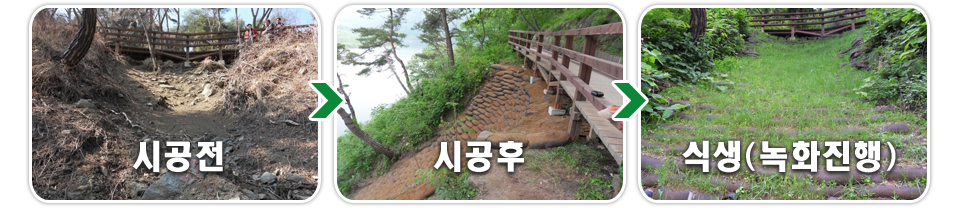 20250428172136_NIcL9PGY.jpg_carousel_식생토낭 그린티스_식생토낭 그린티스, 식생백, 식생토낭, 사면안정, 수해복구, 보강토 옹벽 시공