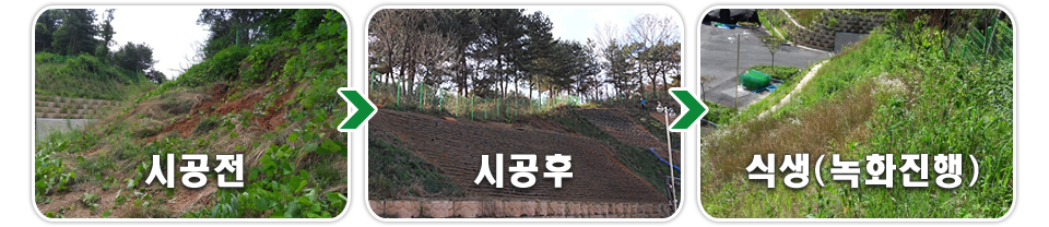 20250428172136_wHlsxLAV.jpg_carousel_식생토낭 그린티스_식생토낭 그린티스, 식생백, 식생토낭, 사면안정, 수해복구, 보강토 옹벽 시공